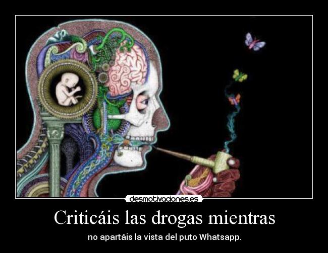 Criticáis las drogas mientras -