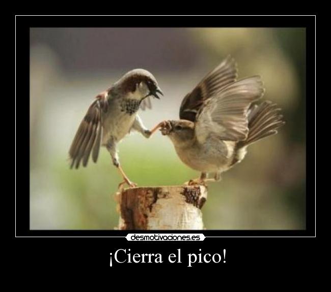 ¡Cierra el pico! -