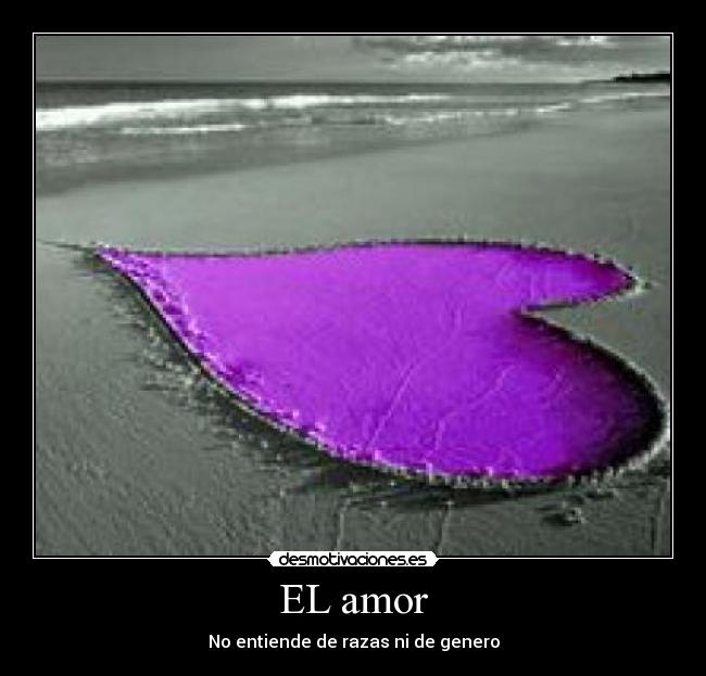 EL amor - 