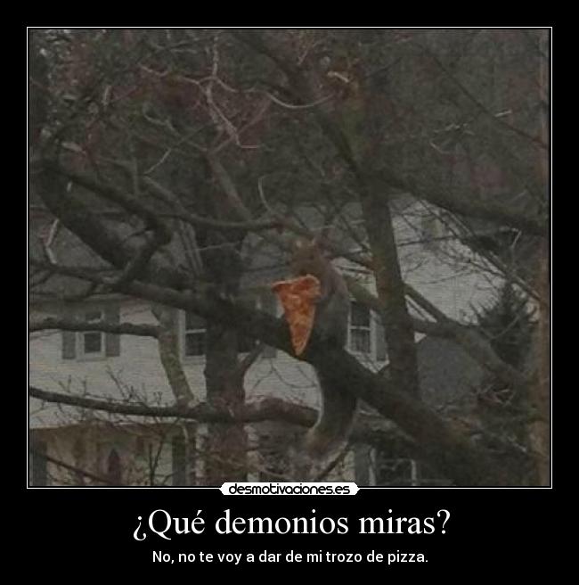 ¿Qué demonios miras? - 