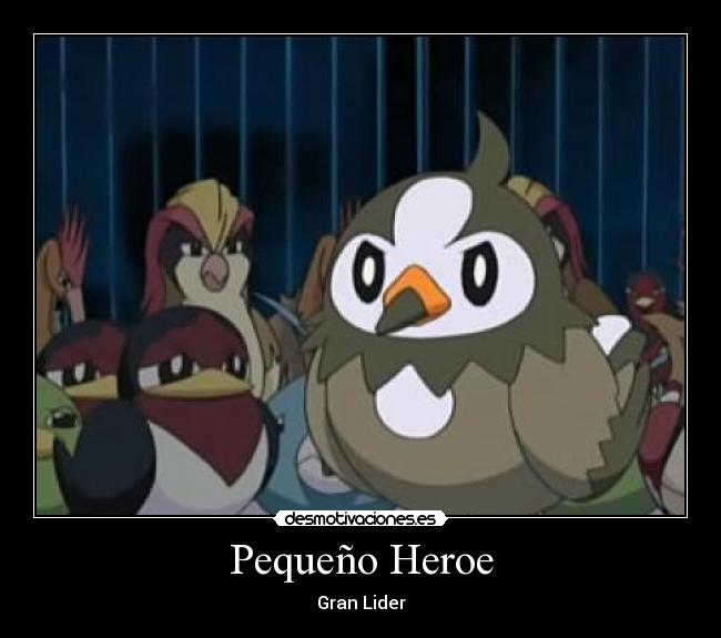 Pequeño Heroe - Gran Lider