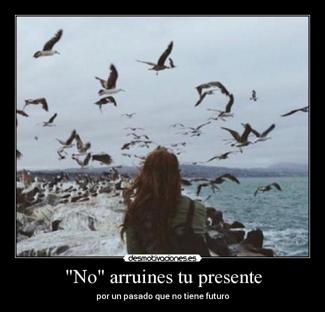 carteles 31413 desmotivaciones