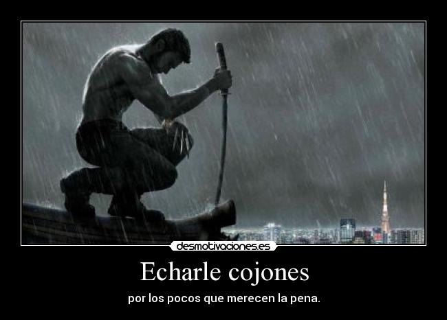 carteles belkin desmotivaciones