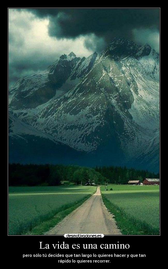 carteles vida amor por vida desmotivaciones