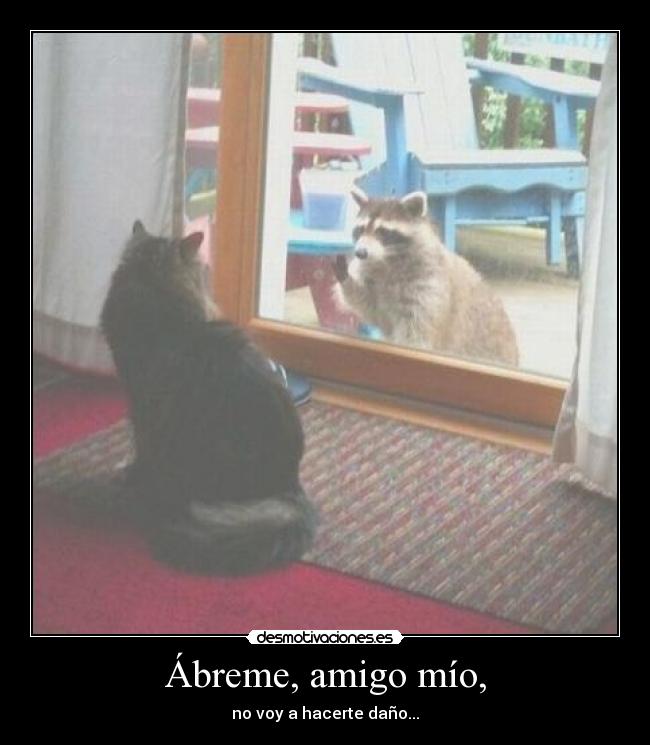 Ábreme, amigo mío, -