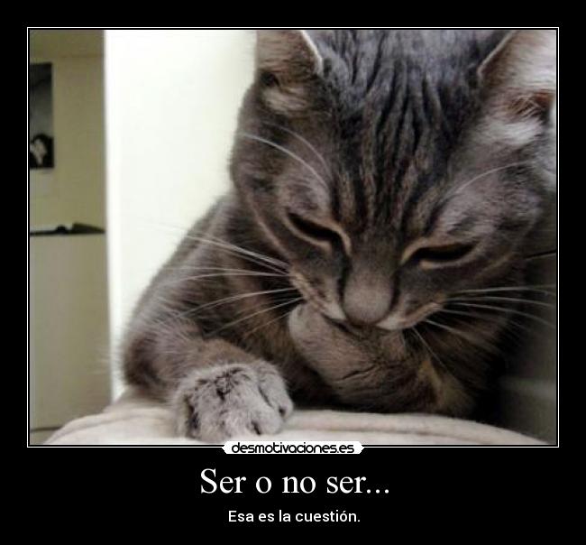Ser o no ser... - 