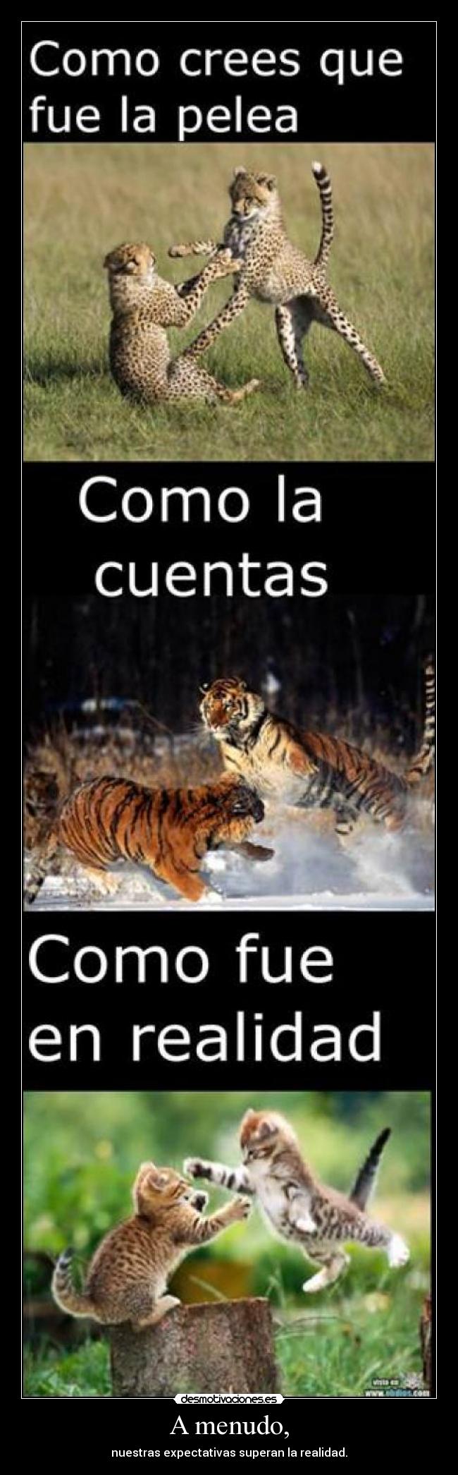 A menudo, - nuestras expectativas superan la realidad.