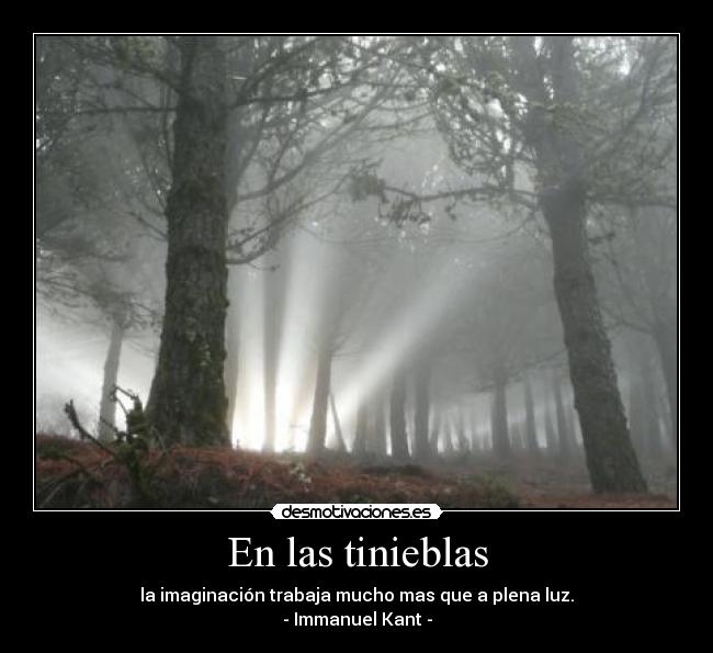 En las tinieblas - la imaginación trabaja mucho mas que a plena luz.
- Immanuel Kant -