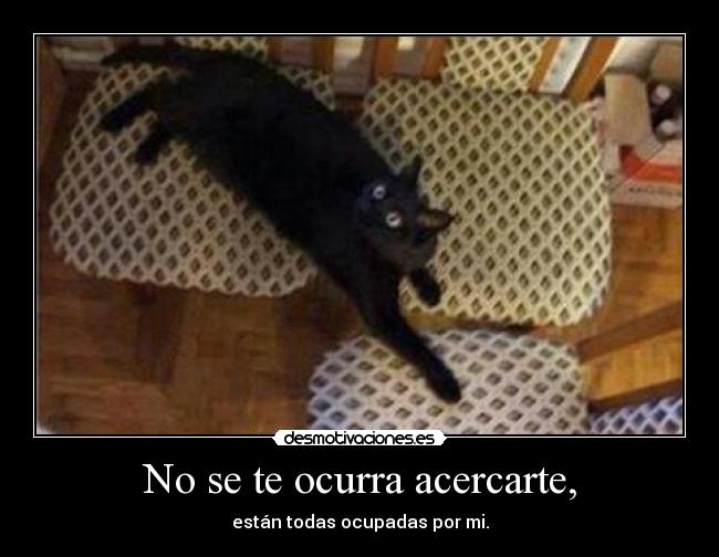No se te ocurra acercarte, - están todas ocupadas por mi.