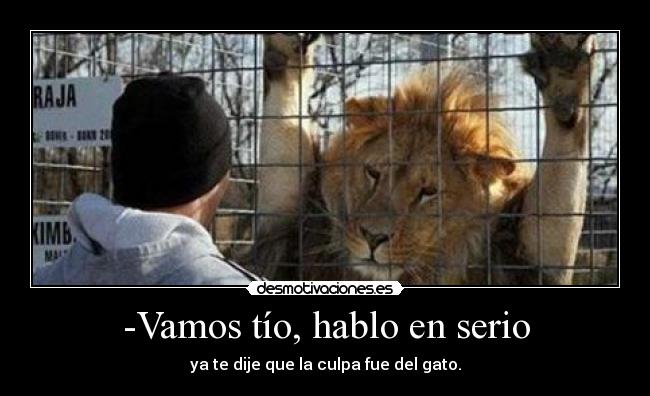 -Vamos tío, hablo en serio - ya te dije que la culpa fue del gato.