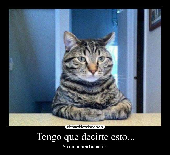 Tengo que decirte esto... - 