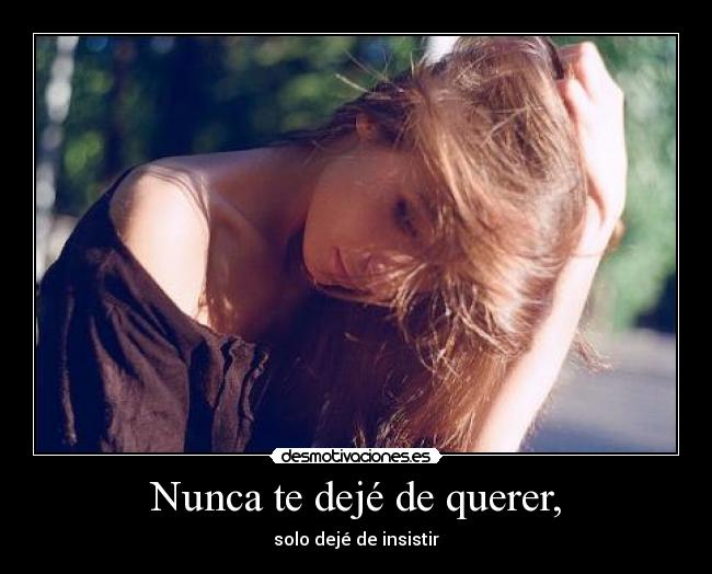 Nunca te dejé de querer, - solo dejé de insistir