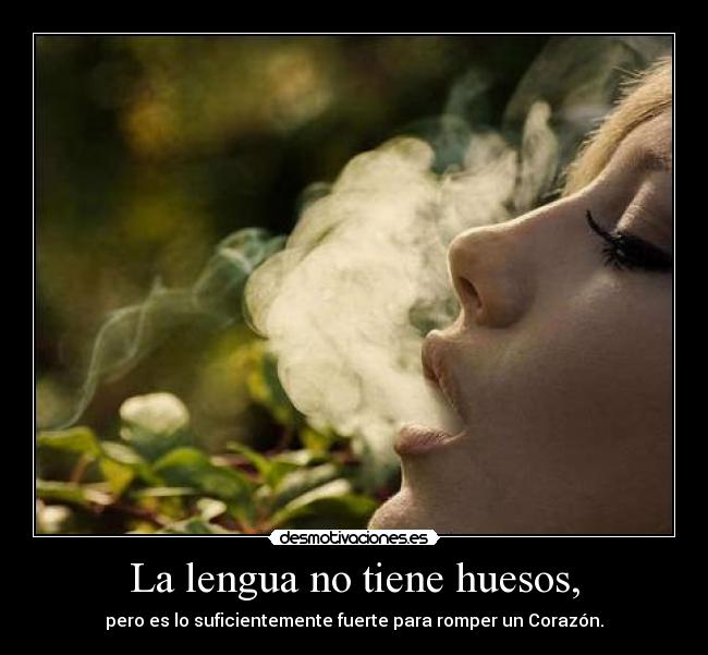 carteles lenguas desmotivaciones