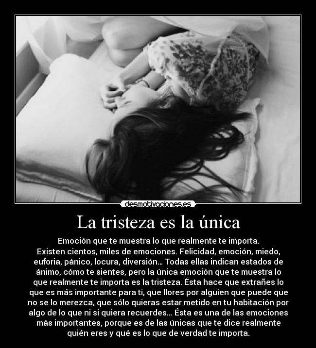 carteles tristeza solitude desmotivaciones