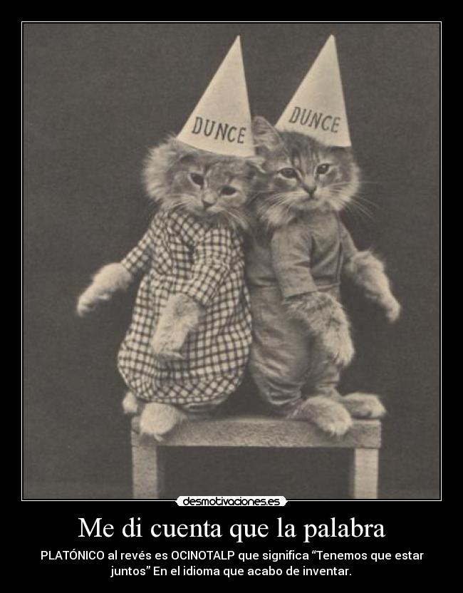 Me di cuenta que la palabra - PLATÓNICO al revés es OCINOTALP que significa “Tenemos que estar
juntos” En el idioma que acabo de inventar.