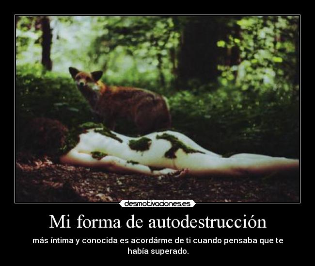 carteles pffff fin cague pero bien como siempre desmotivaciones