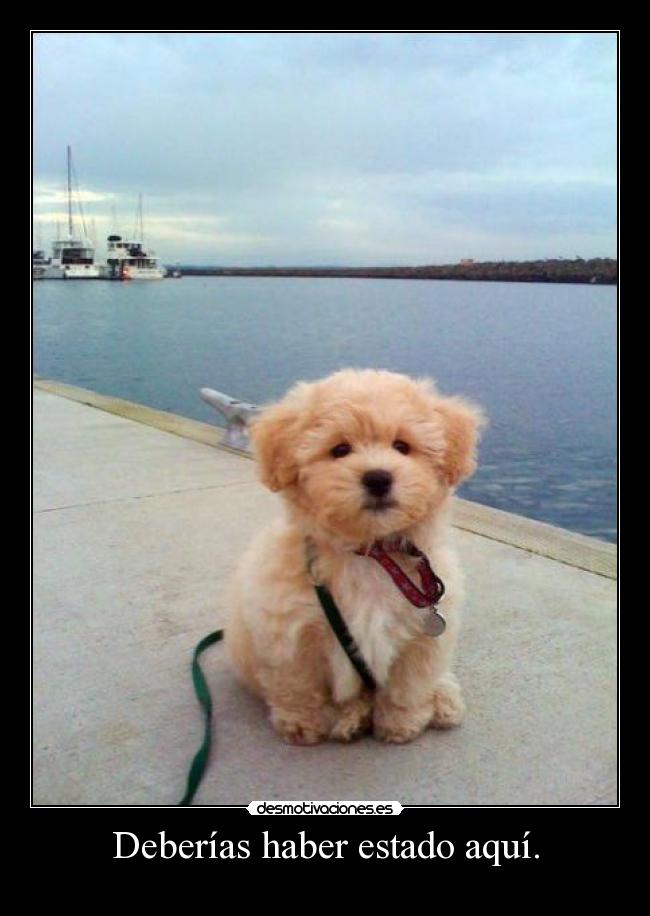 Deberías haber estado aquí. -