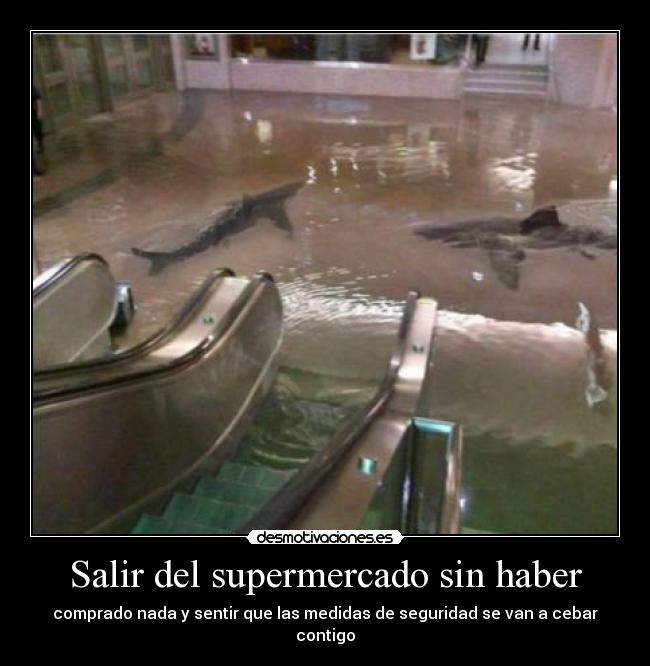 Salir del supermercado sin haber - 