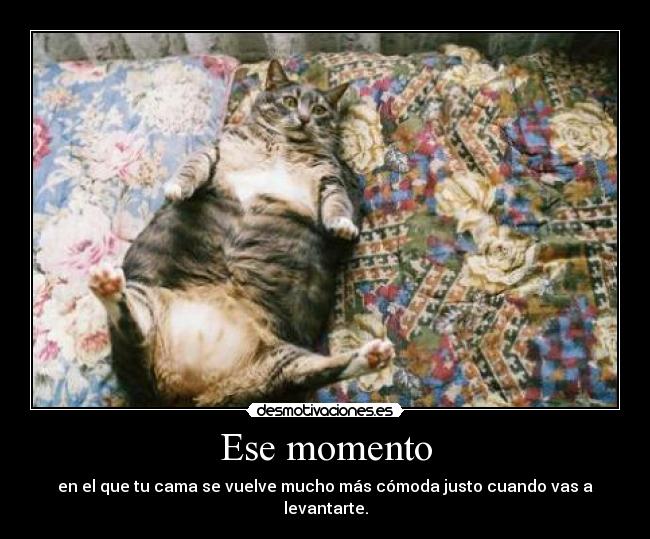 Ese momento - en el que tu cama se vuelve mucho más cómoda justo cuando vas a levantarte.