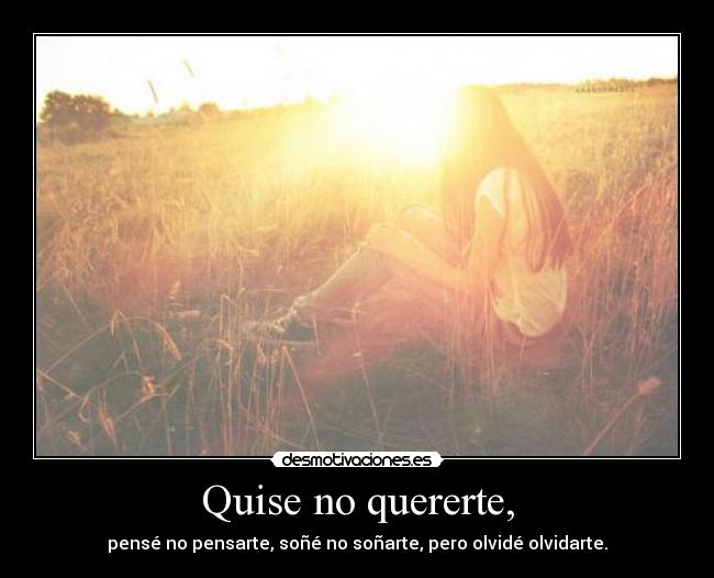 Quise no quererte, -