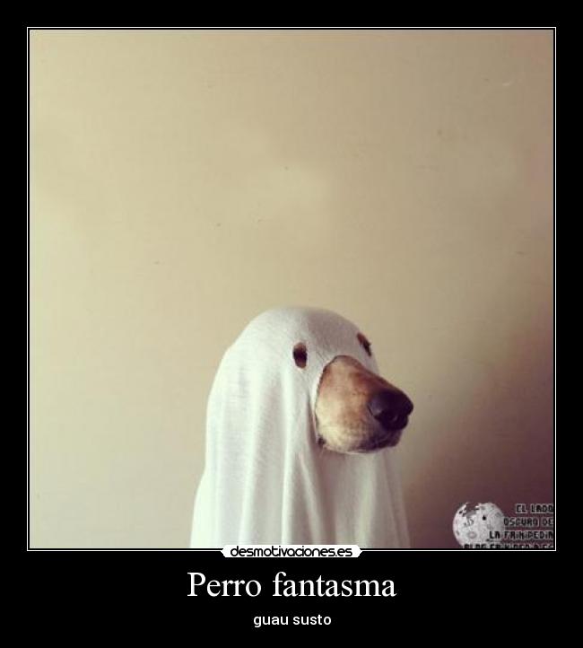 Perro fantasma - guau susto