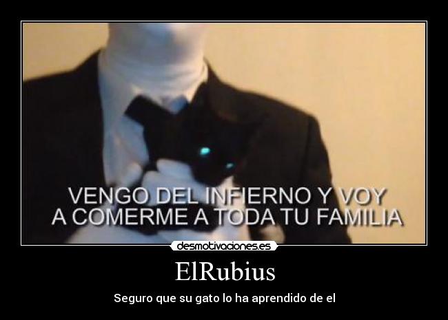 ElRubius - Seguro que su gato lo ha aprendido de el