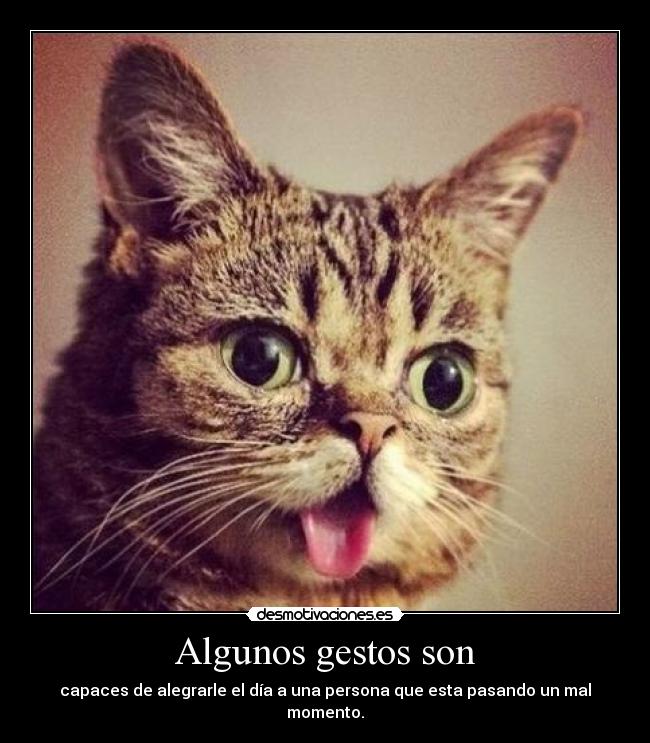 Algunos gestos son - 