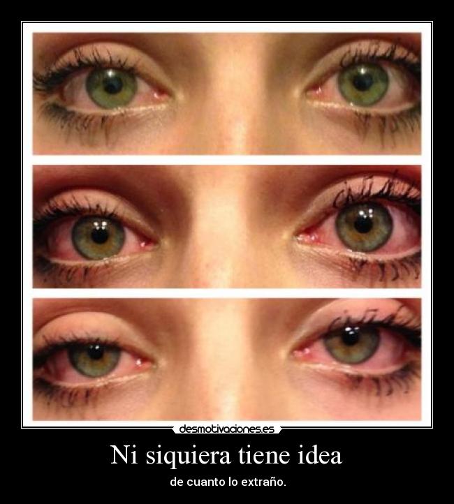 Ni siquiera tiene idea - de cuanto lo extraño.