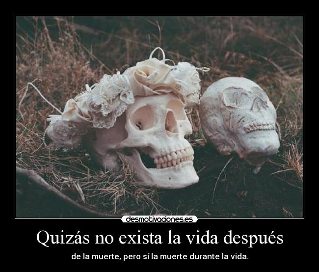 Quizás no exista la vida después - de la muerte, pero sí la muerte durante la vida.