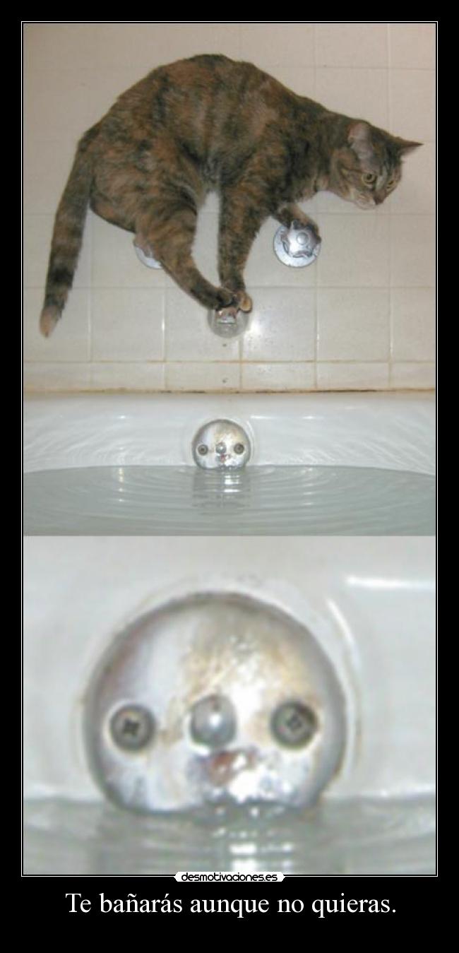 Te bañarás aunque no quieras. - 