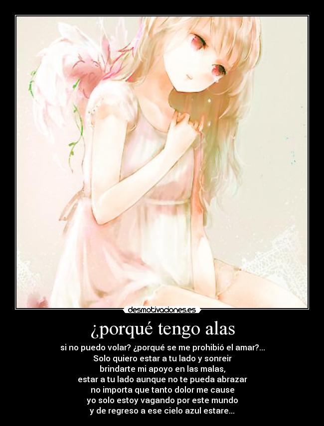 ¿porqué tengo alas - 