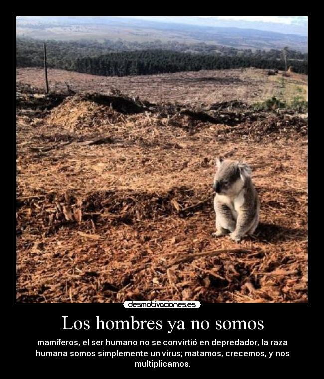 Los hombres ya no somos - mamíferos, el ser humano no se convirtió en depredador, la raza
humana somos simplemente un virus; matamos, crecemos, y nos
multiplicamos.