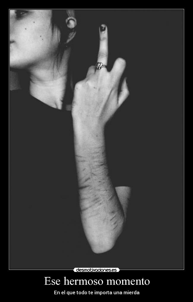Ese hermoso momento - En el que todo te importa una mierda