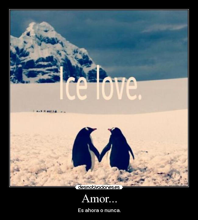 Amor... - 