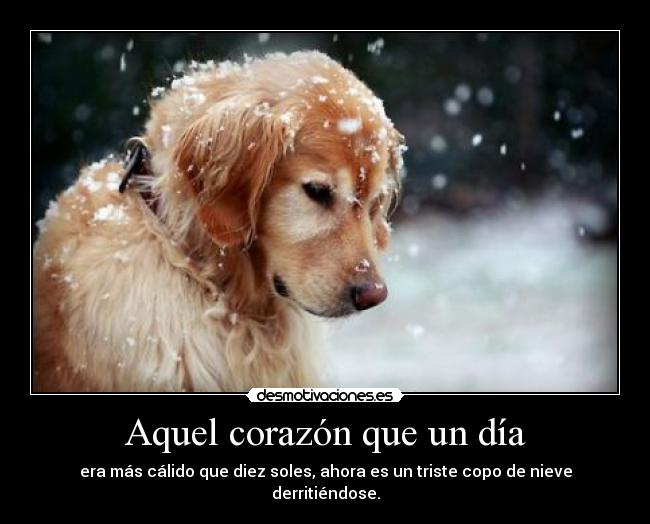 carteles corazon samelove cutewinter vlll agujas atravesando pupilas clavos enterrados las manos desmotivaciones