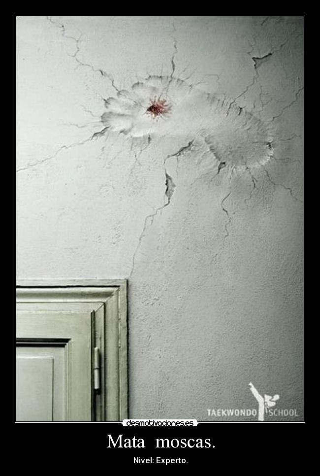 Mata moscas. -