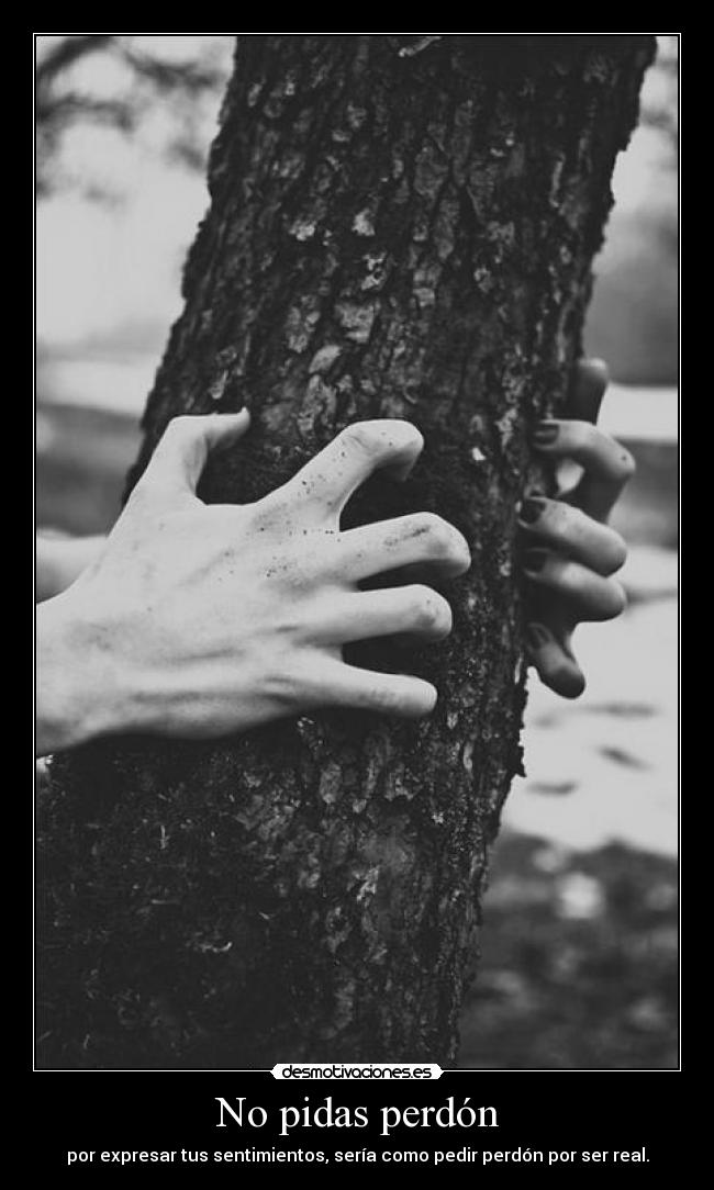 No pidas perdón - 