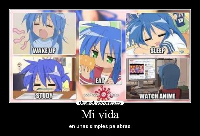 Mi vida - en unas simples palabras.