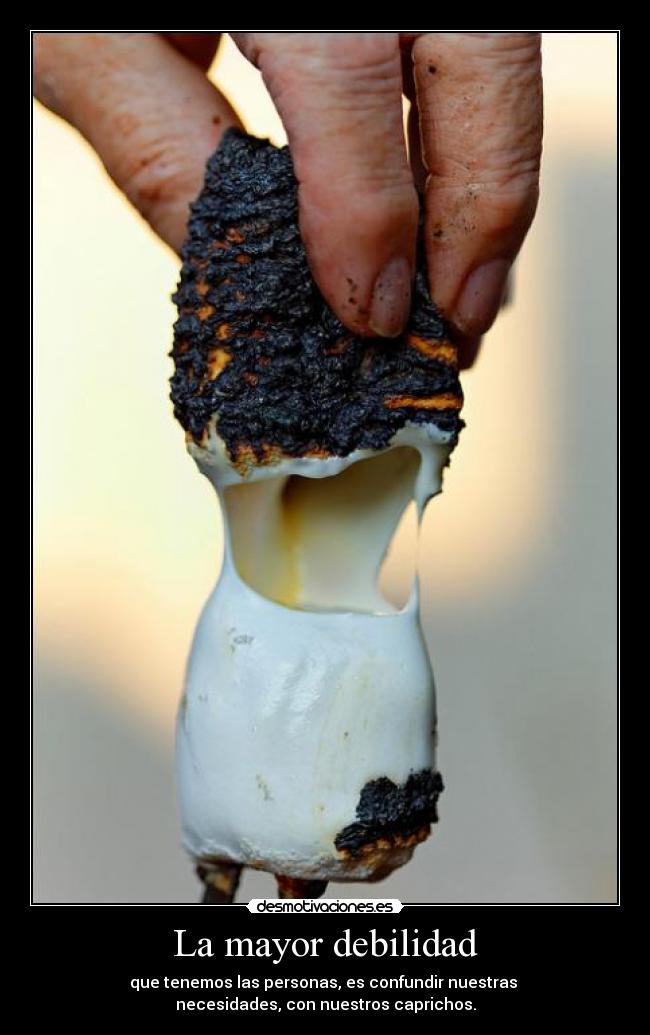 La mayor debilidad - que tenemos las personas, es confundir nuestras 
necesidades, con nuestros caprichos.