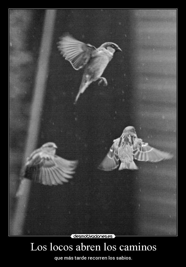 Los locos abren los caminos -