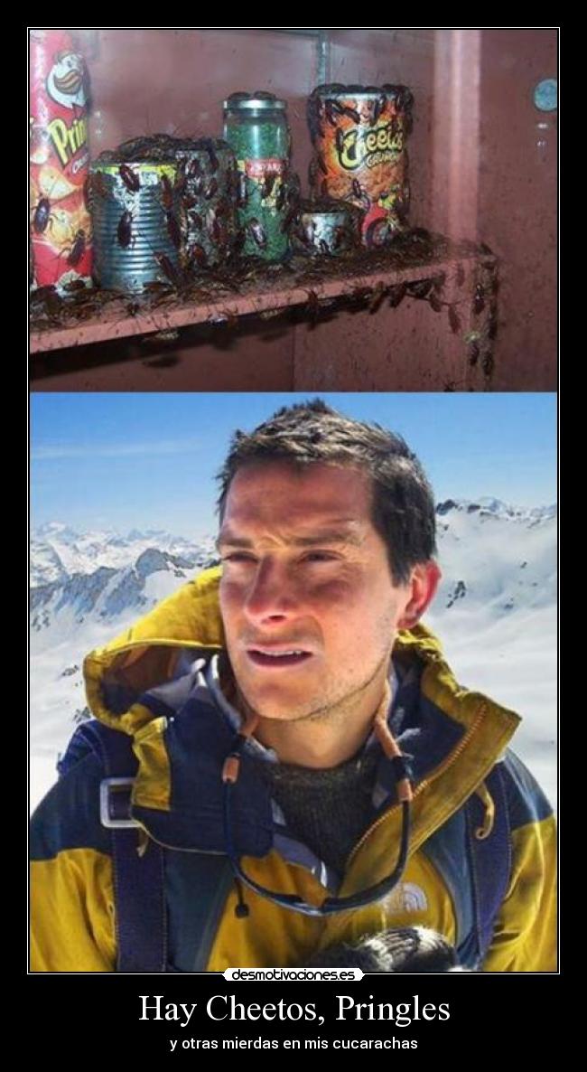 Hay Cheetos, Pringles - 