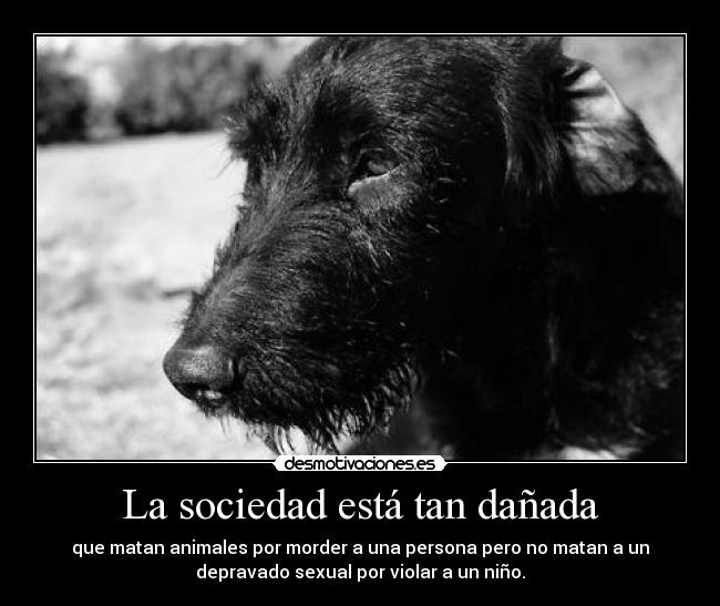 La sociedad está tan dañada - que matan animales por morder a una persona pero no matan a un
depravado sexual por violar a un niño.