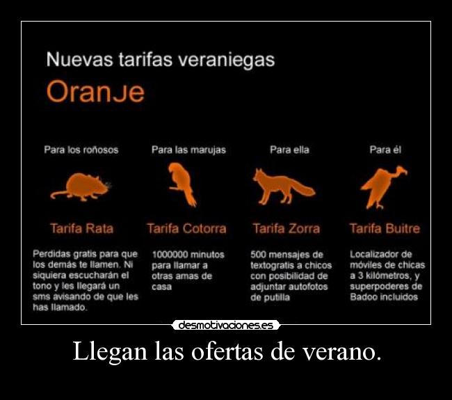 Llegan las ofertas de verano. -