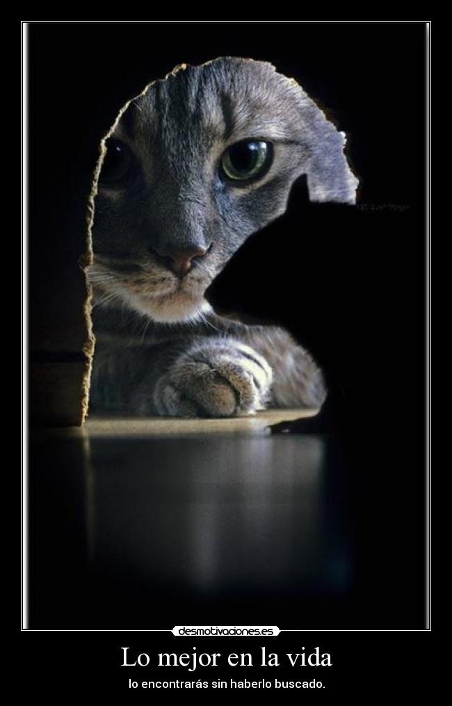 Lo mejor en la vida - lo encontrarás sin haberlo buscado.