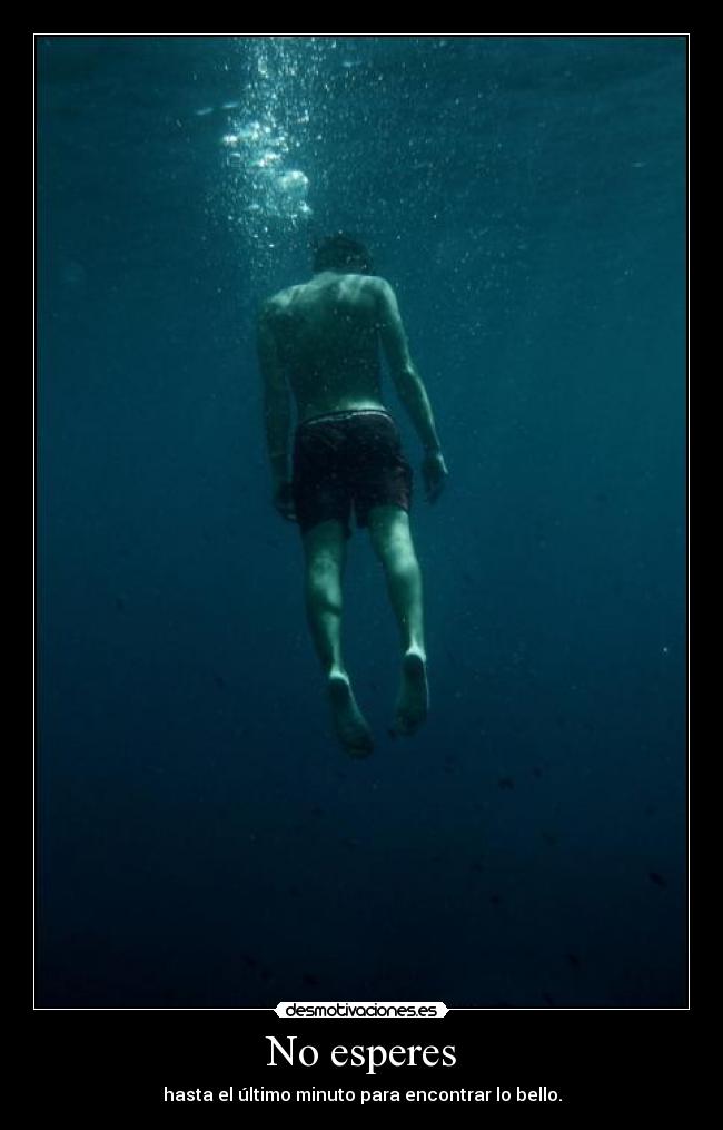 No esperes - hasta el último minuto para encontrar lo bello.