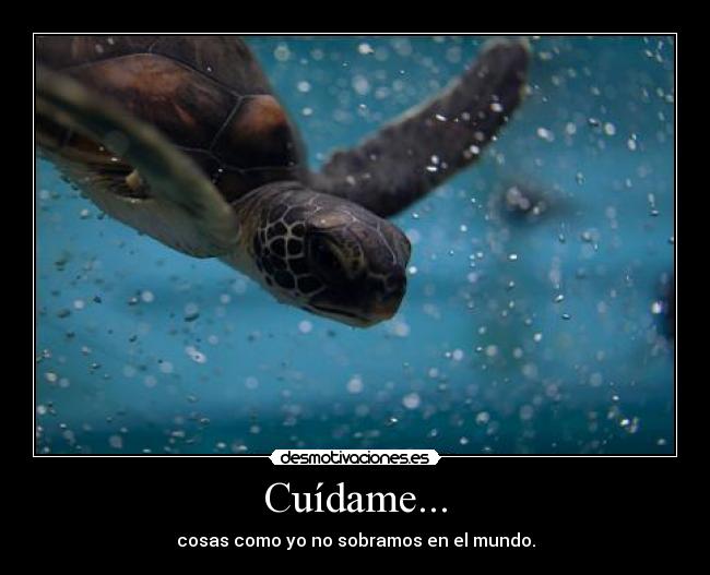 Cuídame... - cosas como yo no sobramos en el mundo.