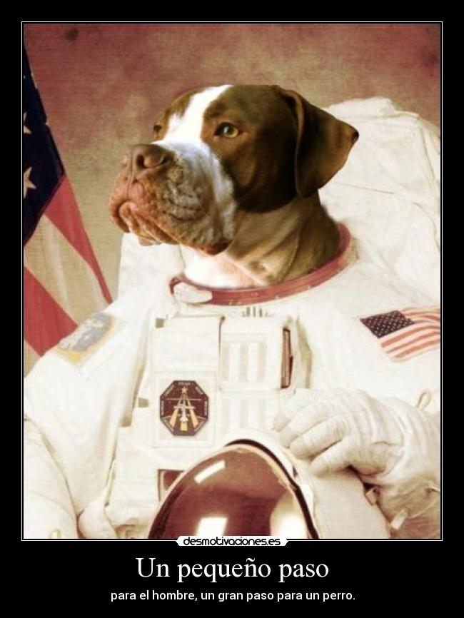 Un pequeño paso -