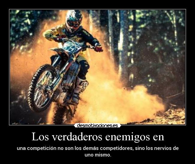 carteles samelove cutewinter vlll cristales enterrados los ojos agujas atravesando lenguas desmotivaciones