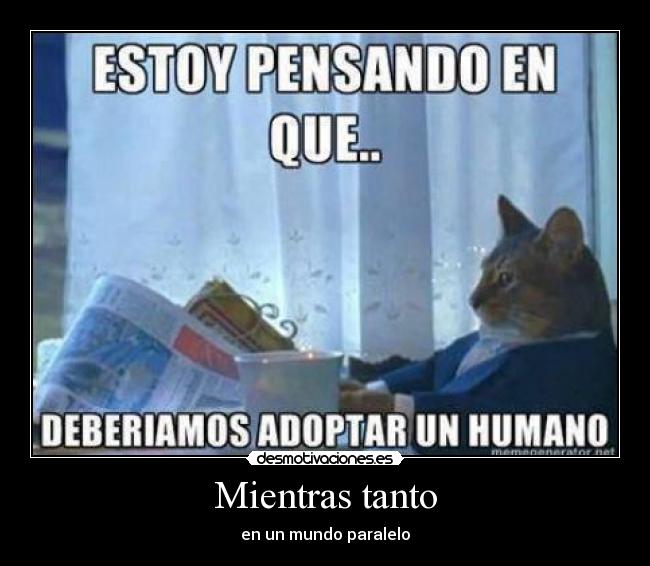 carteles gatos desmotivaciones