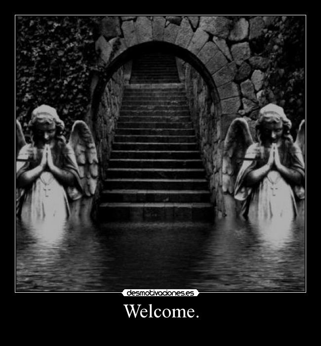 Welcome. -